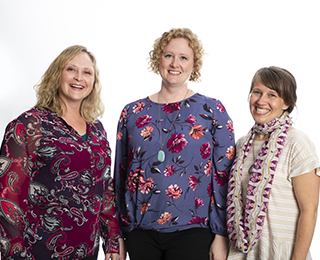 Human-Animal Interventions for Survivors of Sexual Assault: A One Welfare Approach